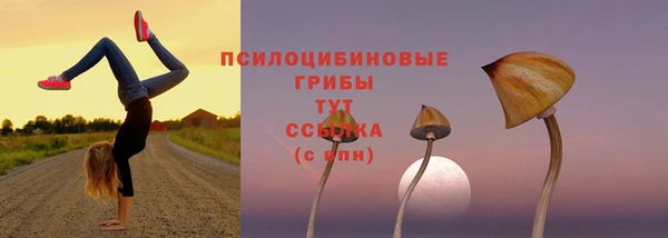 шишки Лиски