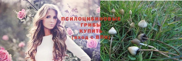 ECSTASY Лихославль