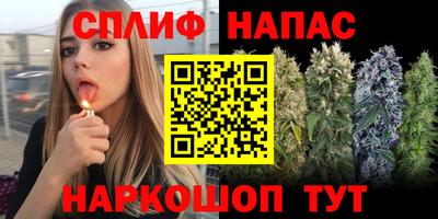 2c-b Гатчина