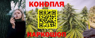 дмт Гай