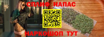 дмт Гай
