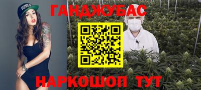 дмт Гай