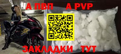 дмт Гай