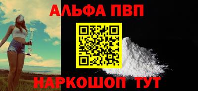 дмт Гай
