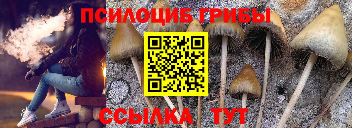 Галлюциногенные грибы MAGIC MUSHROOMS Звенигород