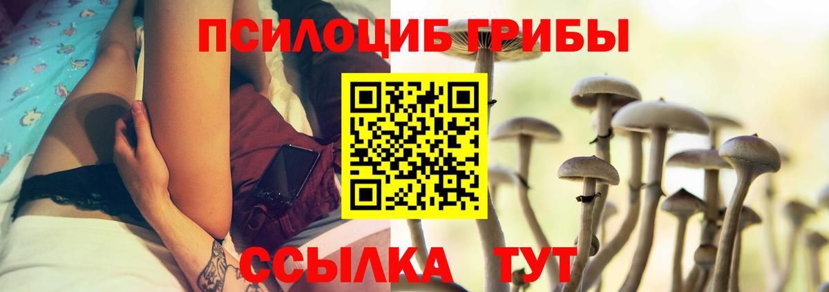 Псилоцибиновые грибы ЛСД  Звенигород 